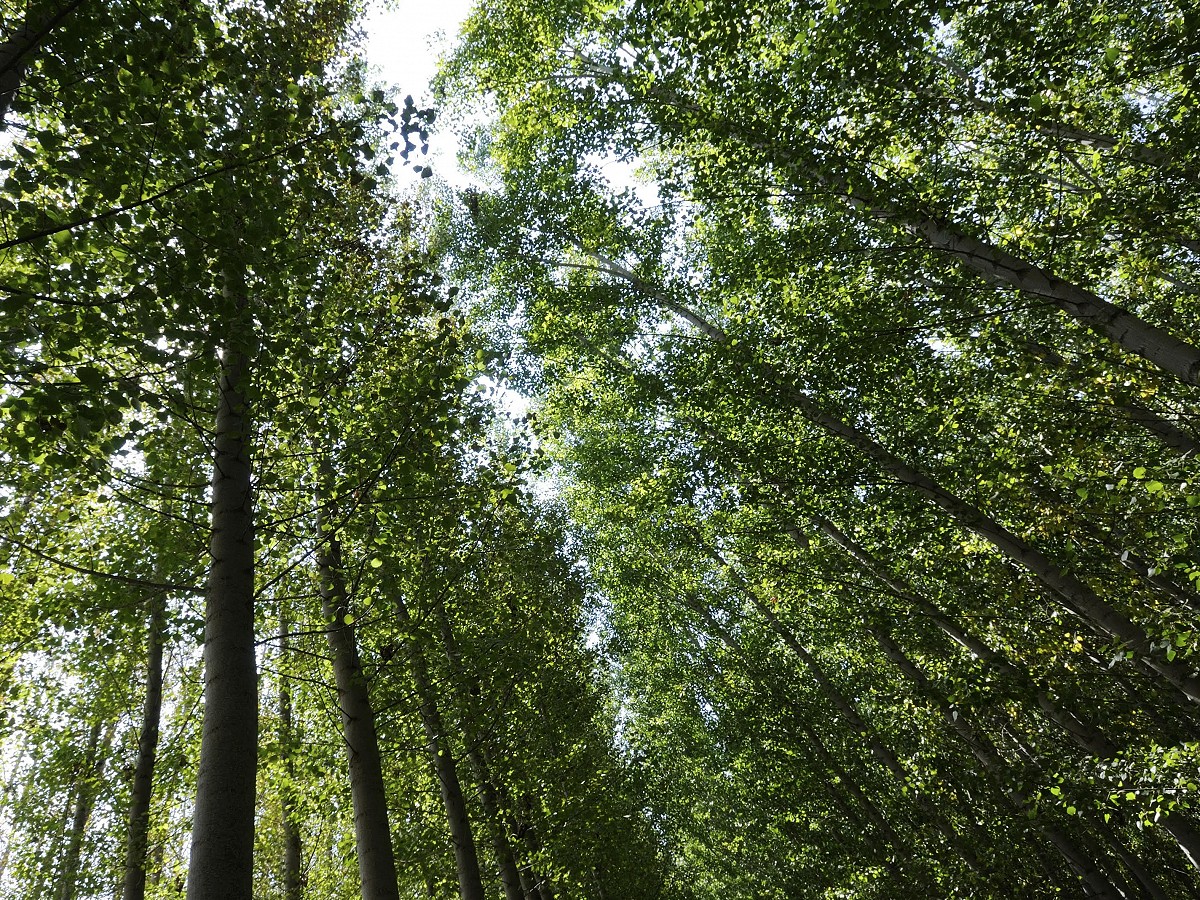 Nagradni natječaj za Dan planeta Zemlje