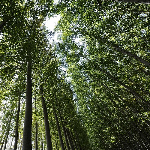 Nagradni natječaj za Dan planeta Zemlje