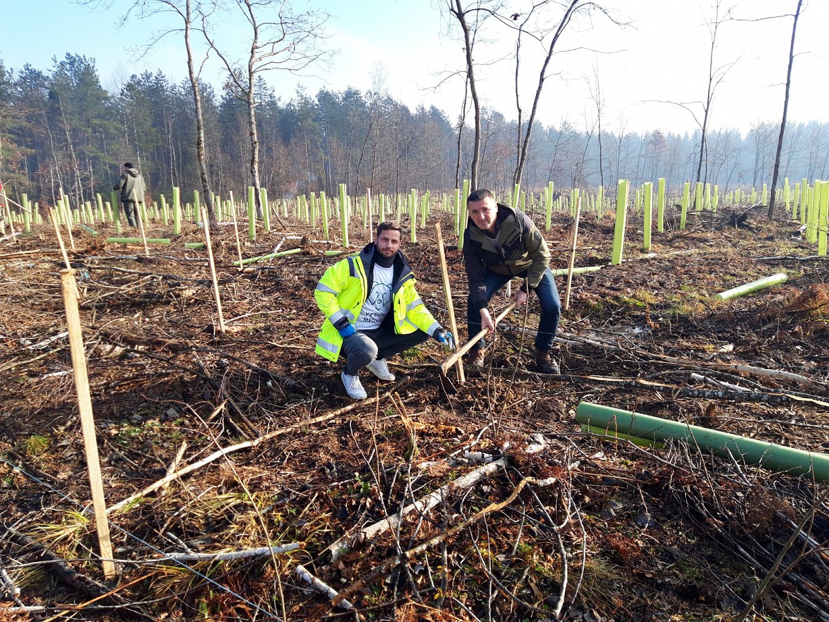 Sadnja drveća u suradnji sa Hrvatskim šumama i Vjetroelektrane Lički Medvjed