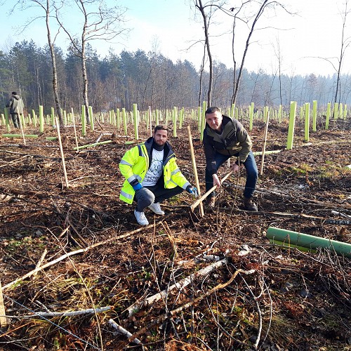 Sadnja drveća u suradnji sa Hrvatskim šumama i Vjetroelektrane Lički Medvjed